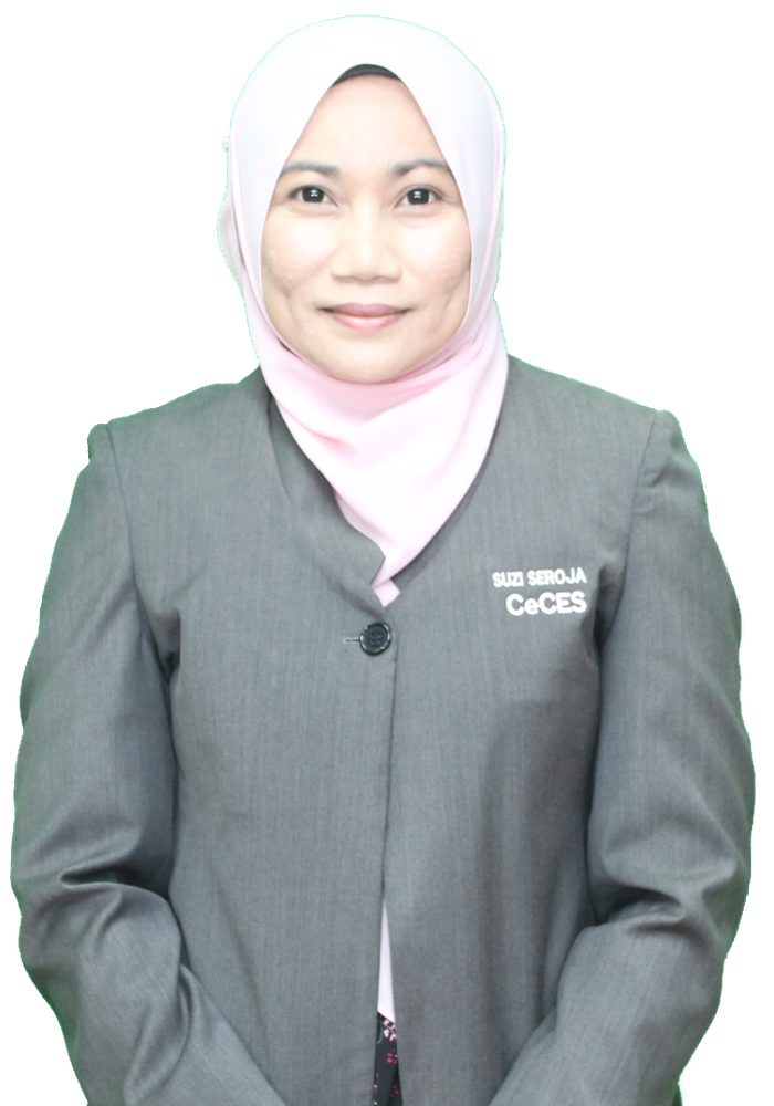 Ir. Ts. Dr. Suzi Seroja Binti Sarnin